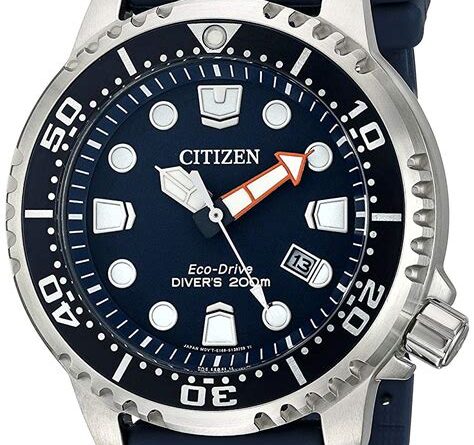 Citizen Eco-Drive Promaster Ny0040 Dive Watch