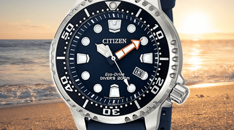 citizen dive watches