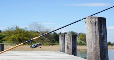 fishing pole for beginners