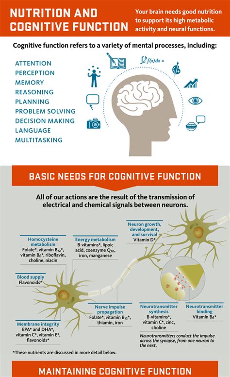 Folate and Improved Cognitive Function