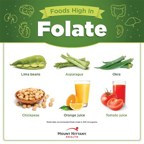 The Folate Handbook: Essential Information for Health Professionals