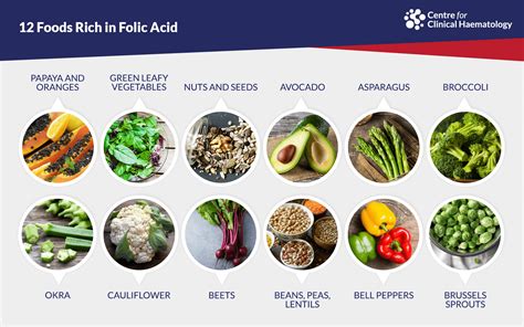 Folate: The Essential Nutrient for Healthy Red Blood Cells