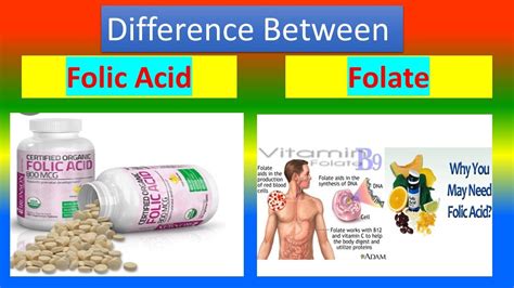 Folate is the same as folic acid