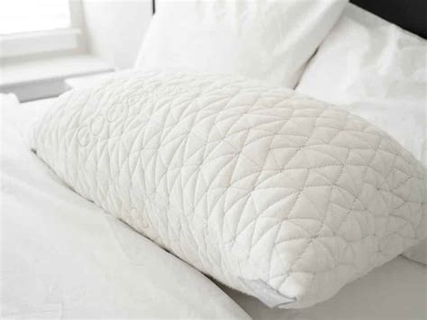 Coop Home Goods Original Z Pillow